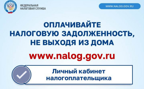 Информация для граждан: как узнать о наличии налоговой задолженности и погасить ее